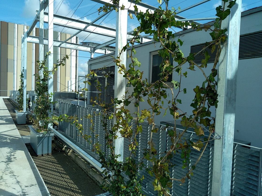 Végétalisation d'une toiture Quai de la Rapée Paris en 2021